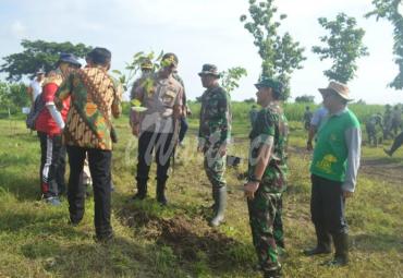 Penanaman pohon hijau dan buah di area lapangan tembak Sirwendo.