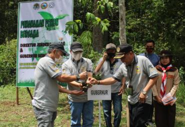 peringatan Hari Harimau Sedunia (Global Tiger Day) di Kawasan Hutan Mahoni, Damar dan Pinus (Madapi) di Desa Pal.VIII,