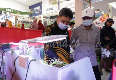 Kepala Biro Administrasi Perekonomian dan Sumber Daya Alam Sekretariat Daerah Provinsi Bengkulu Dr. Anzori Tawakal, ST. M.Si, saat membuka Pemeran Aquatic dan Kontes Nasional Ikan Cupang 2020