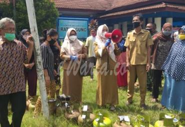 Pemantauan operasi pasar