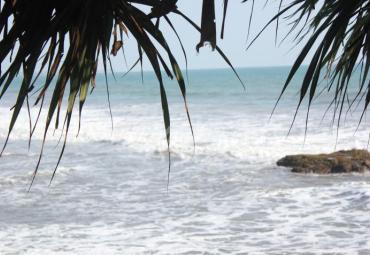 Pantai Sungai Suci Kabupaten Bengkulu Tengah. Foto : Af