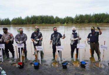 Gerakan penanaman mangrove di kawasan Muara Sungai Air Bengkulu, Senin (11/11/2020).