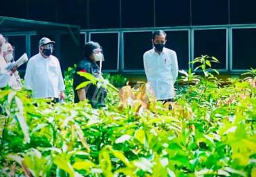 Presiden Tinjau Lokasi Pembangunan Pusat Perbenihan untuk Atasi Bencana Ekologis