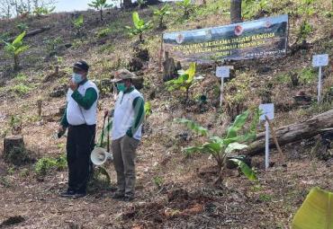 KLHK Rehabilitasi 2.000 Hektar Lahan Kritis di Bengkulu