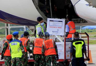 Petugas kargo pesawat menurunkan satu koli vaksin COVID-19 Sinovac di Bandara El Tari Kupang, Kota Kupang, NTT Selasa (5/1/2021). - (antarafoto)