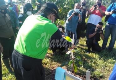 Pemkot Blitar dan Dinas Kehutanan Wilayah Malang Kerja Sama Tanam 250 Pohon